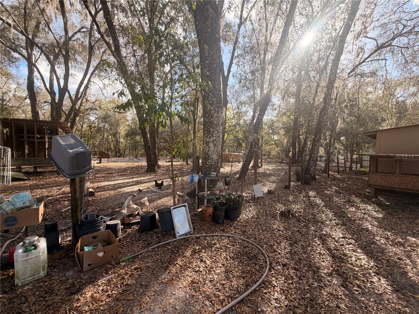 ACREAGE - Residential