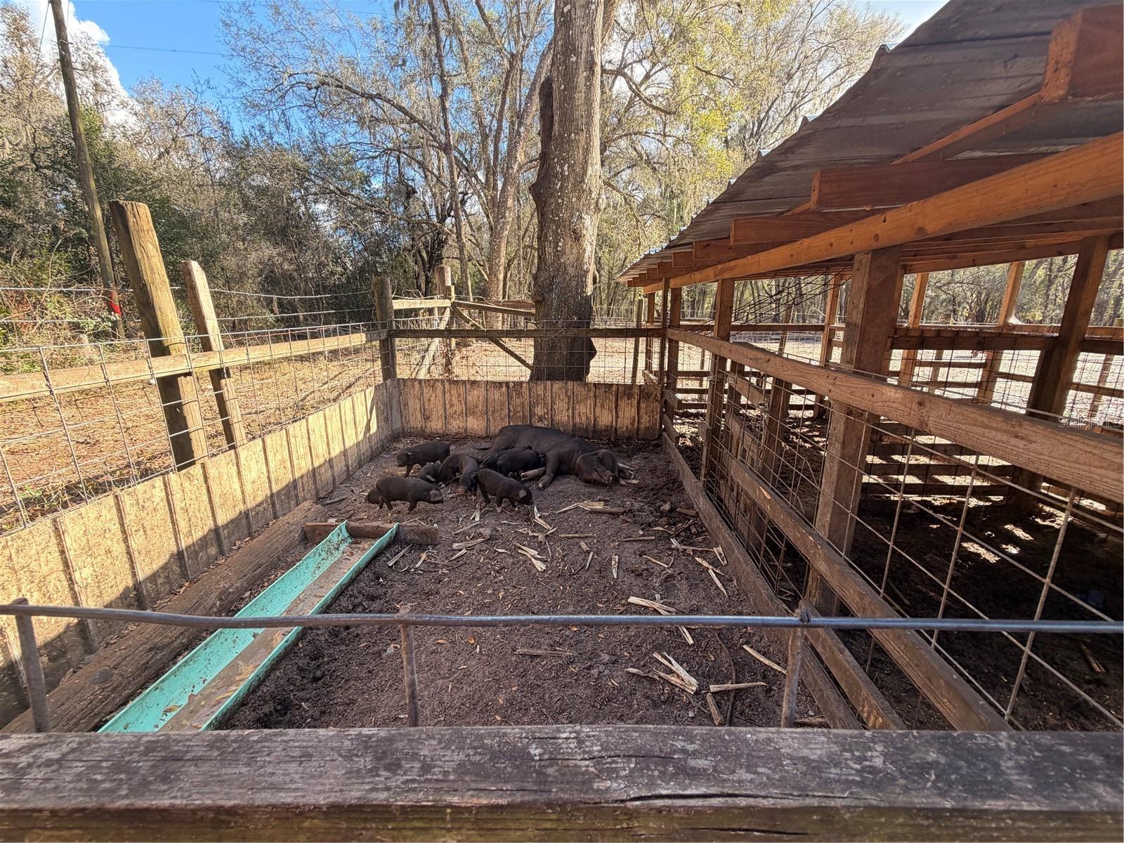 ACREAGE - Residential