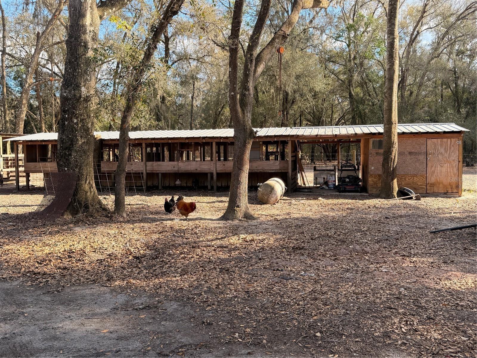 ACREAGE - Residential