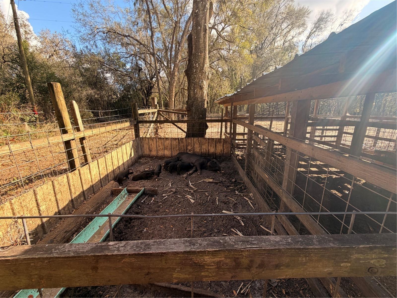 ACREAGE - Residential