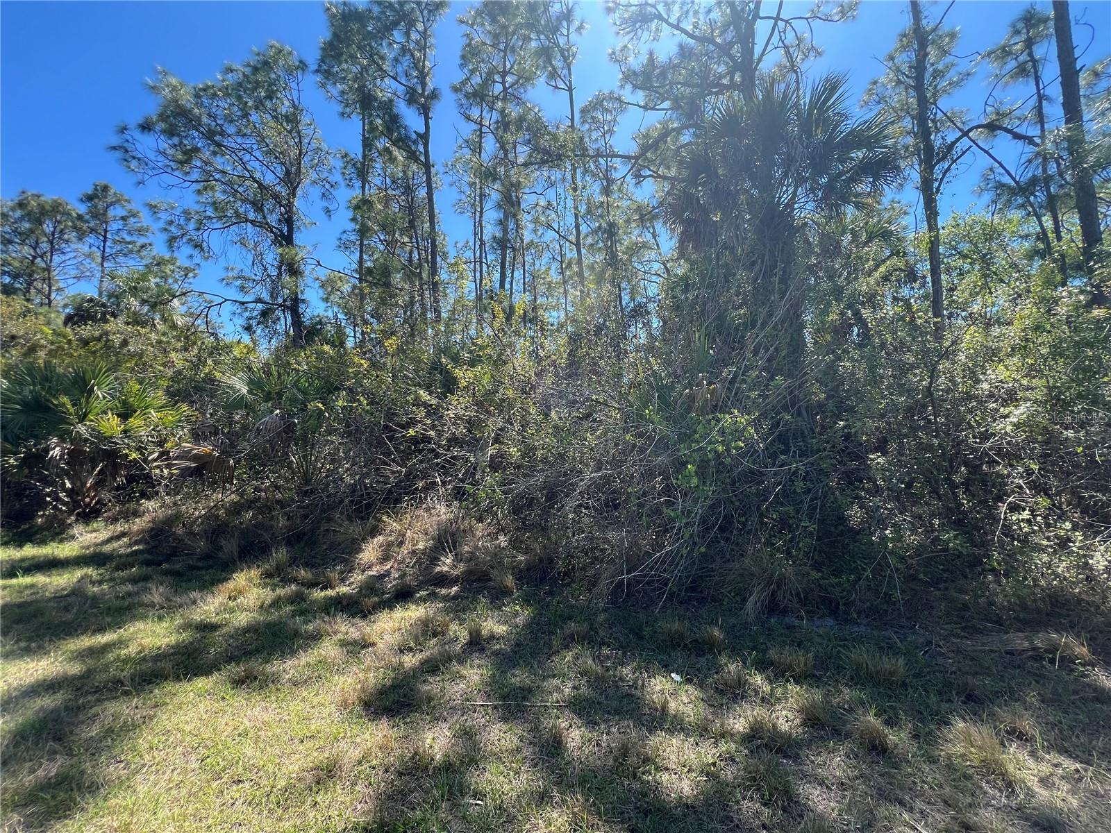 PORT CHARLOTTE SUB 46 - Land