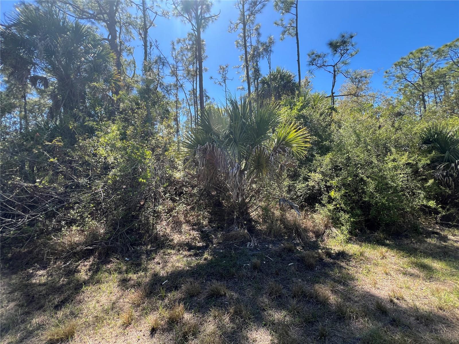 PORT CHARLOTTE SUB 46 - Land