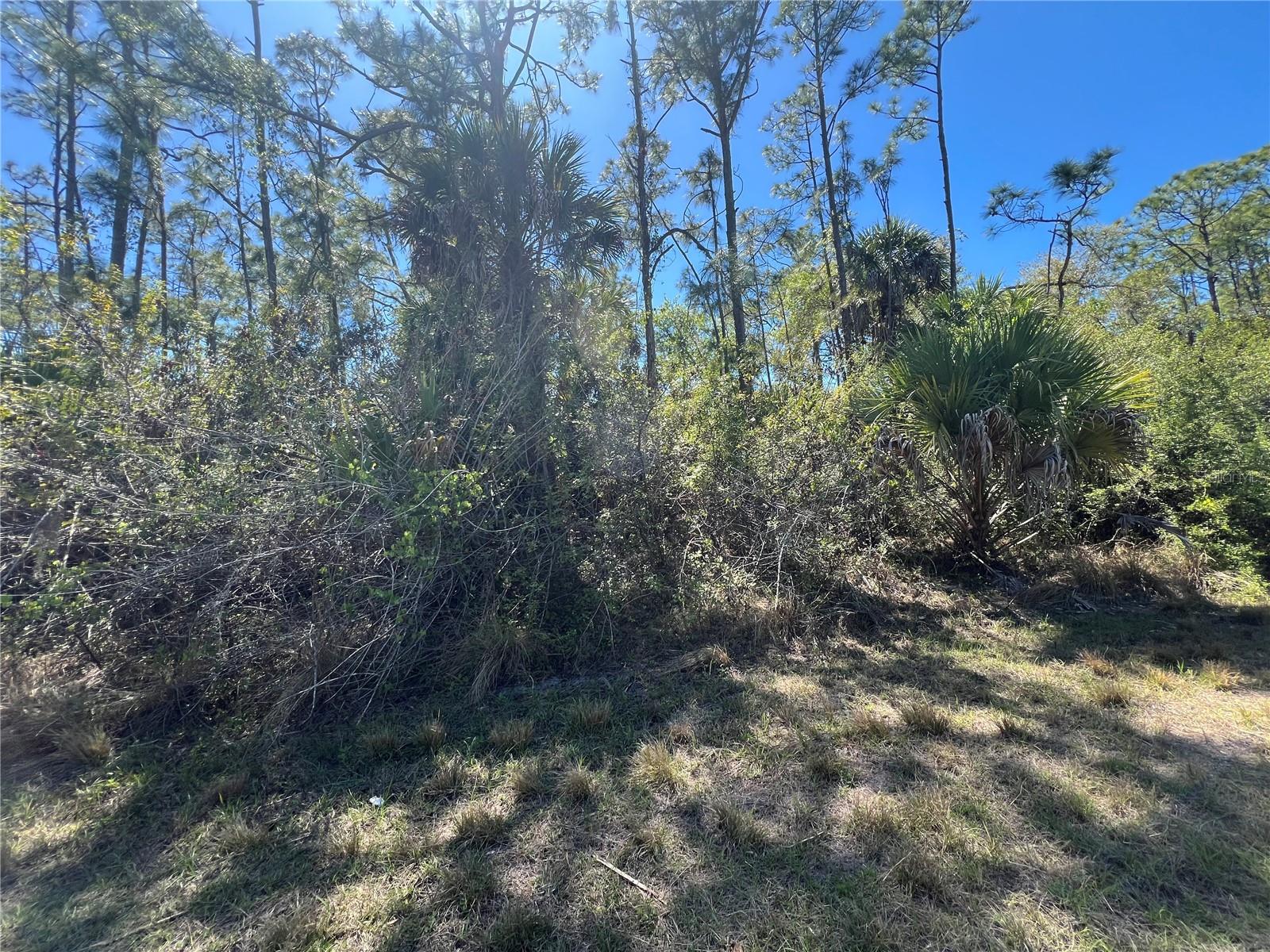 PORT CHARLOTTE SUB 46 - Land