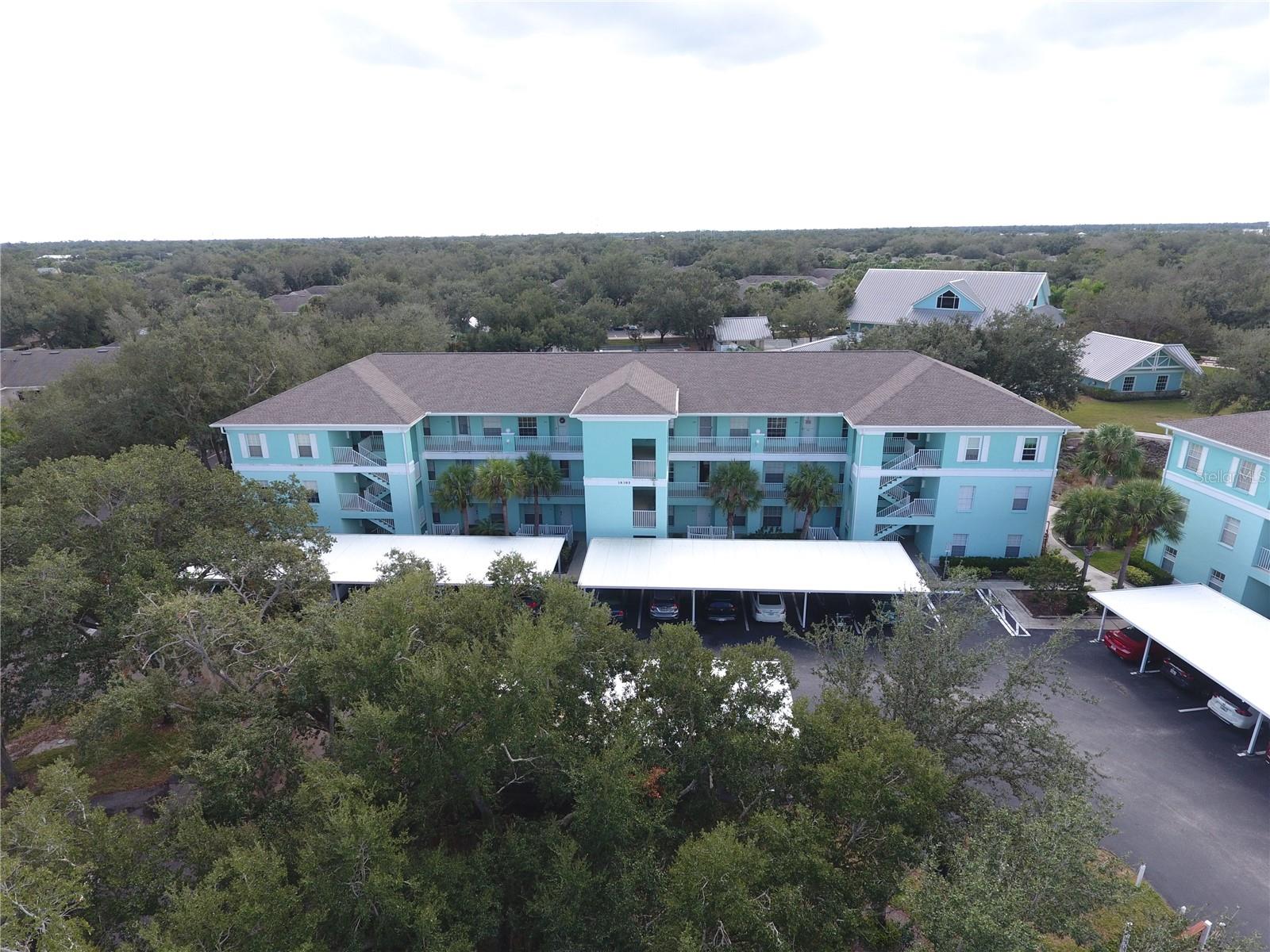 19385 WATER OAK DRIVE 203