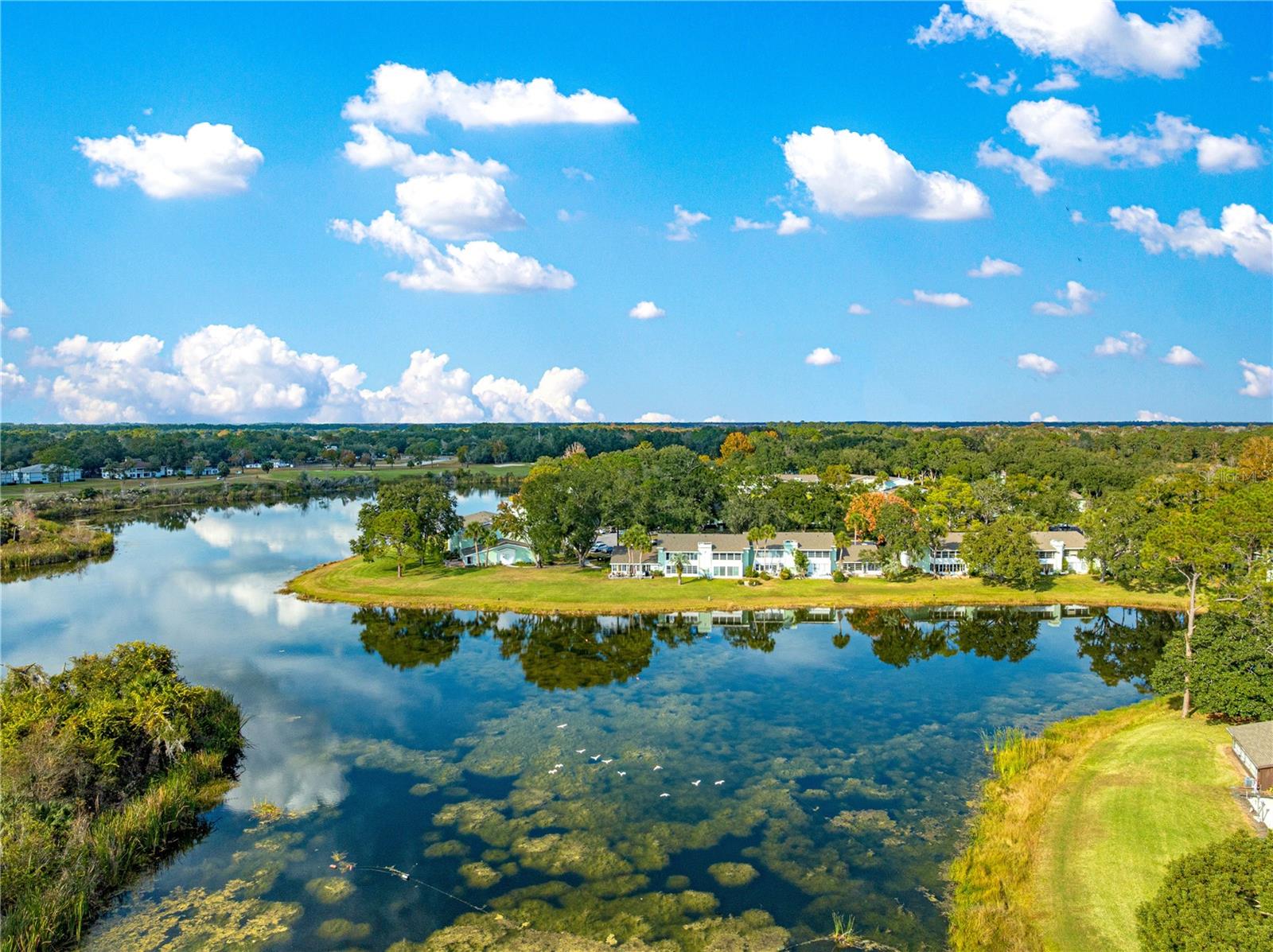 FAIRWAYS/SILVER SPGS SHORES CO - Residential
