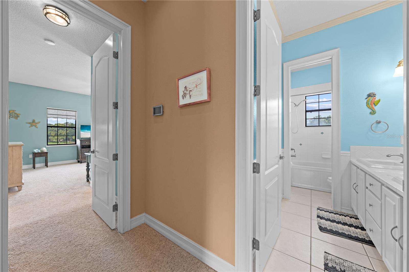 NARCOOSSEE NEW MAP OF - Residential