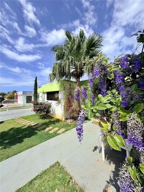 110 GRUBB DRIVE AGUADILLA  00603