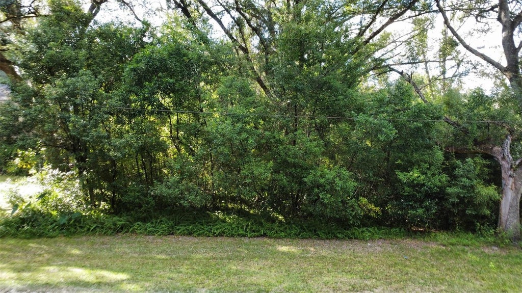 Photo of 0 Garfield, Brooksville, FL 34604 (MLS # W7890537)