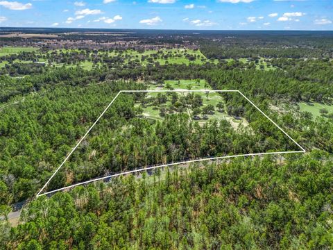 Tiny photo for 11670 SE 6 Street, Williston, FL 32696 (MLS # OM718341)