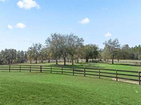 Tiny photo for 11670 SE 6 Street, Williston, FL 32696 (MLS # OM718341)