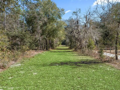 Tiny photo for 11670 SE 6 Street, Williston, FL 32696 (MLS # OM718341)
