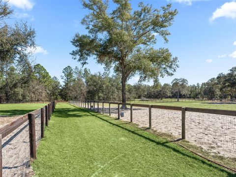 Tiny photo for 11670 SE 6 Street, Williston, FL 32696 (MLS # OM718341)