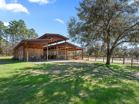 Tiny photo for 11670 SE 6 Street, Williston, FL 32696 (MLS # OM718341)