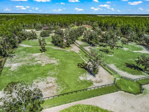 Tiny photo for 11670 SE 6 Street, Williston, FL 32696 (MLS # OM718341)