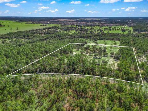 Tiny photo for 11670 SE 6 Street, Williston, FL 32696 (MLS # OM718341)