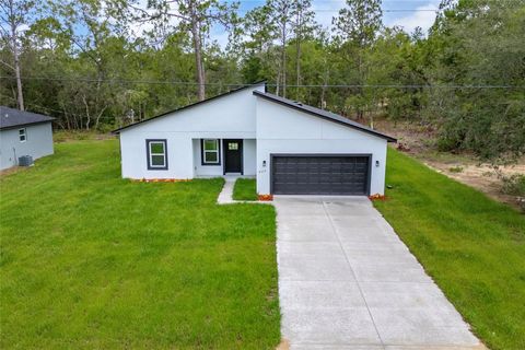 Photo of 9312 N Akola Way, Citrus Springs, FL 34434 (MLS # O6385102)