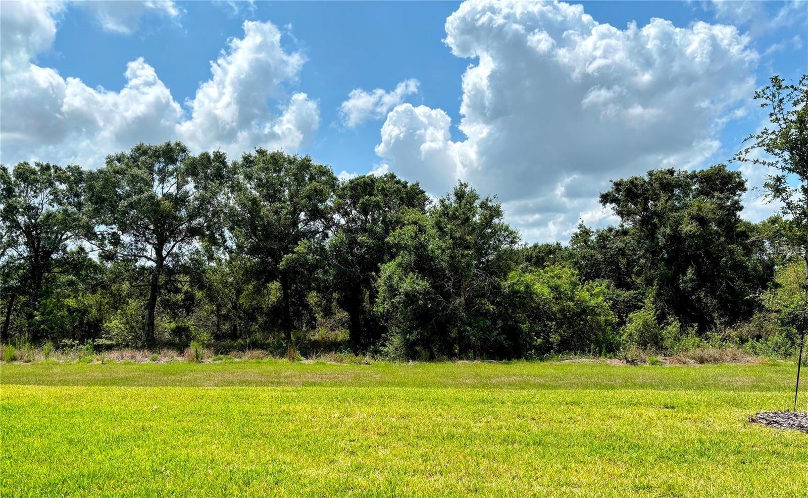 SOLERA AT LAKEWOOD RANCH PH II - Residential Lease