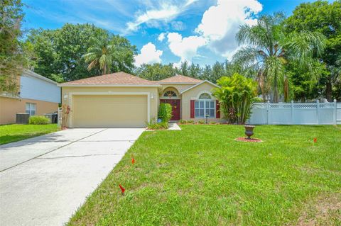 A home in APOPKA