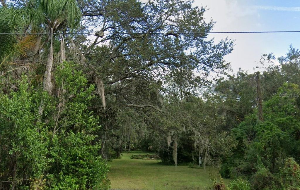 Photo of 14817 N 20th Street, Lutz, FL 33549 (MLS # O6354862)