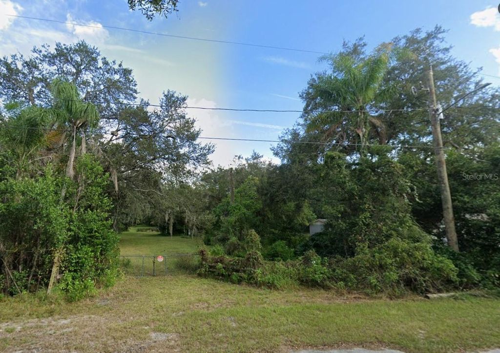 Photo of 14817 N 20th Street, Lutz, FL 33549 (MLS # O6354862)