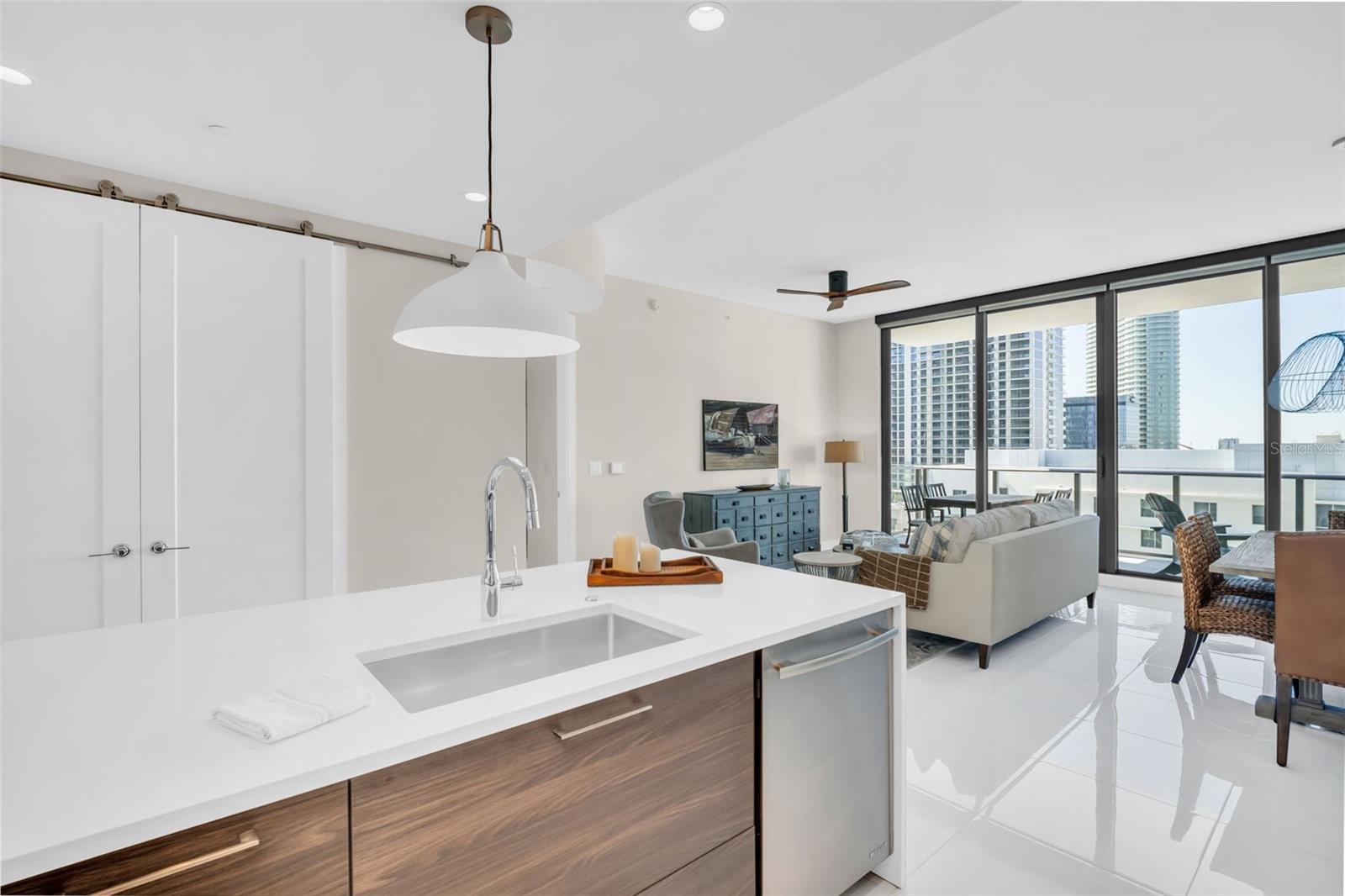 ONE ST PETERSBURG CONDO - Residential