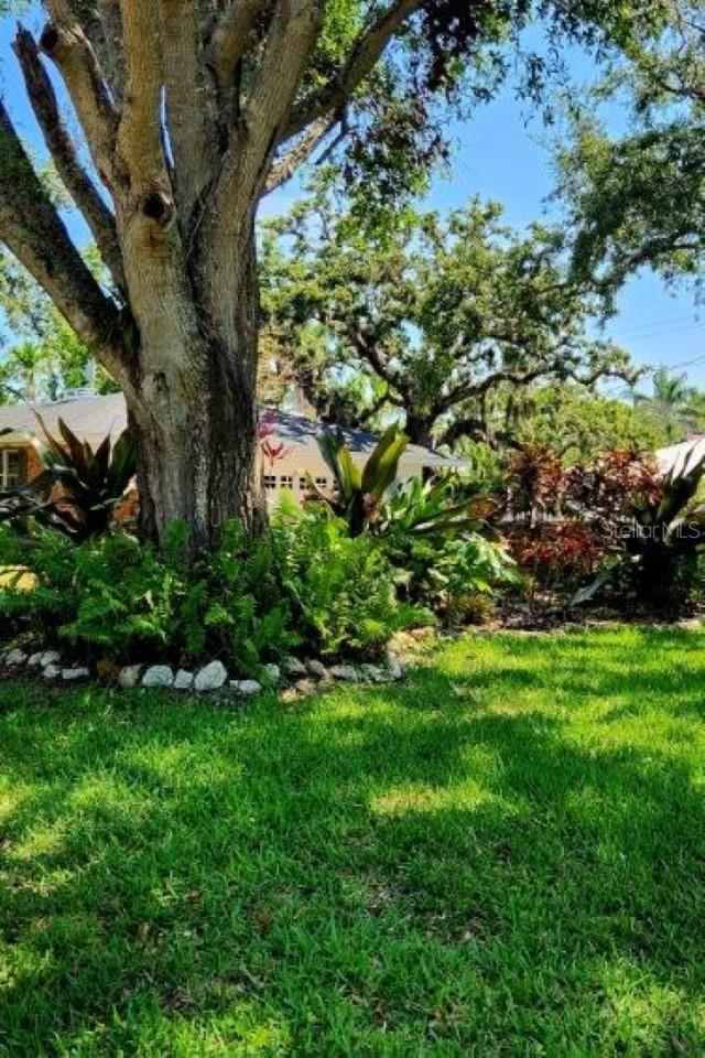 THE WHITE RESUB IN THE EARL COURT - Residential