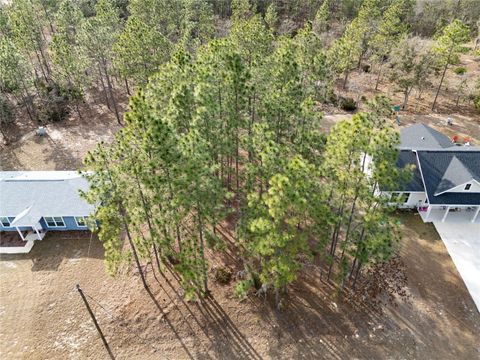 TBD NE 150TH AVENUE WILLISTON FL 32696