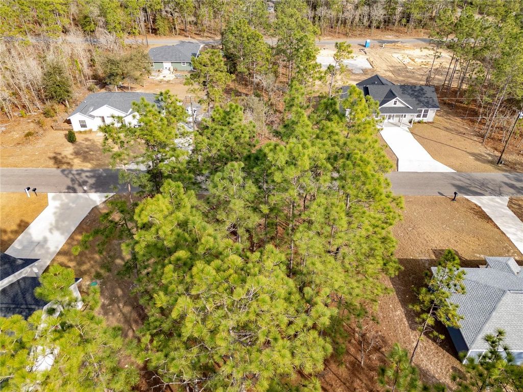 Photo of Tbd NE 150th Avenue, Williston, FL 32696 (MLS # OM718655)