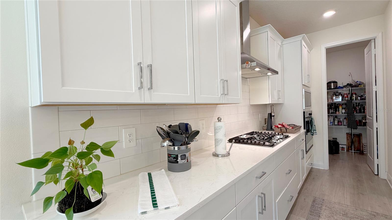 PARK VIEW/THE HILLS PH 2 A - Residential