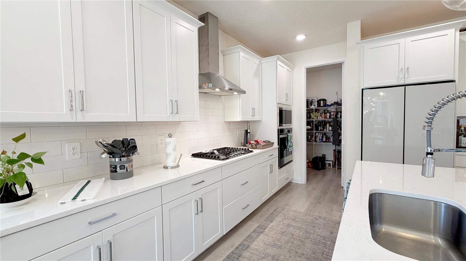 PARK VIEW/THE HILLS PH 2 A - Residential