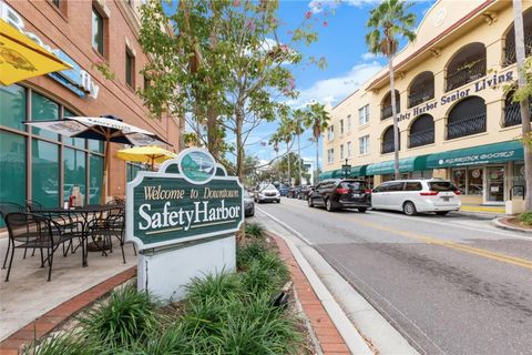 A home in SAFETY HARBOR