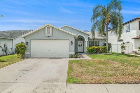 11222 CLAYRIDGE DRIVE TAMPA FL 33635