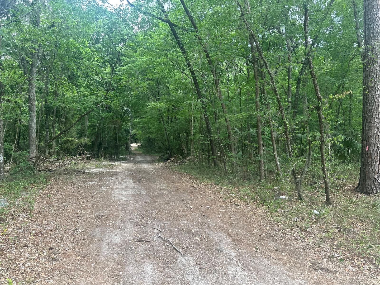 BELLEVIEW HEIGHTS ESTATES UN 14 - Land