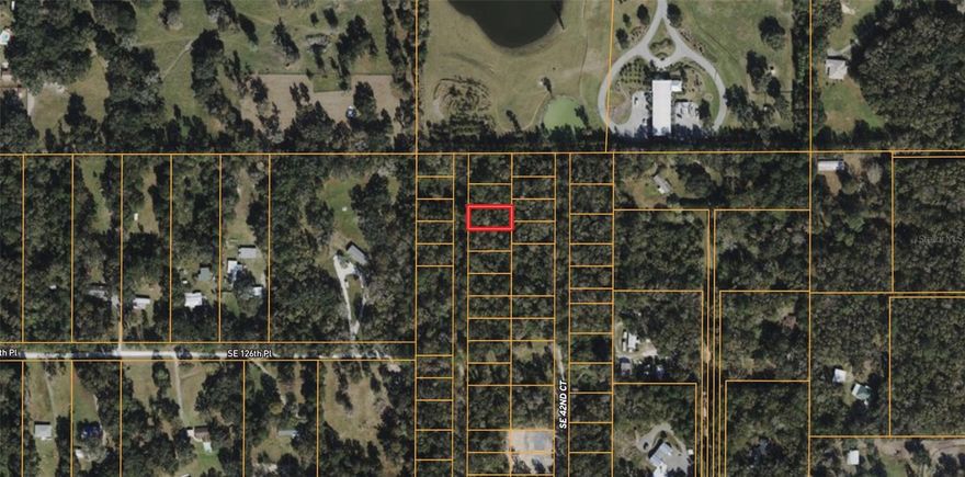 This lot is located in a developing area, with new construction popping up and nearby lots being cleared. Situated on a graded dirt road, the property is surrounded by new homes, cleared farmland, and established neighborhoods. Just minutes from Lake Lillian Park, Belleview Sports Complex, US-441, CR-484, and major shopping centers like Publix and Walmart. With its proximity to schools and other conveniences, this lot is perfectly positioned for future growth. Parcel # 4214-173-008