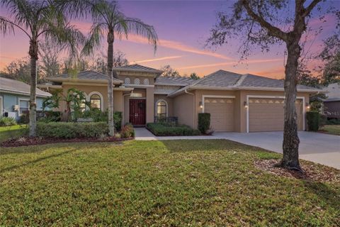 Photo of 14834 Man O War Drive, Odessa, FL 33556 (MLS # W7883658)