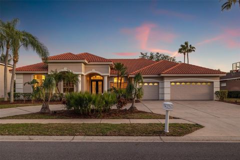 3830 MORENO DRIVE PALM HARBOR FL 34685