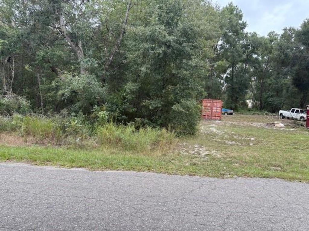 Photo of Ocklawaha, FL 32179 (MLS # O6355392)