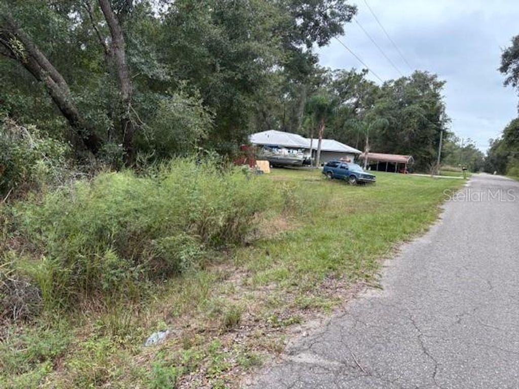 Photo of Ocklawaha, FL 32179 (MLS # O6355392)