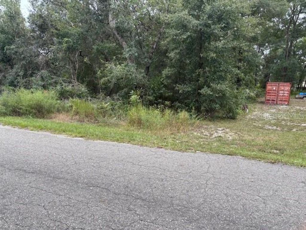 Photo of Ocklawaha, FL 32179 (MLS # O6355392)