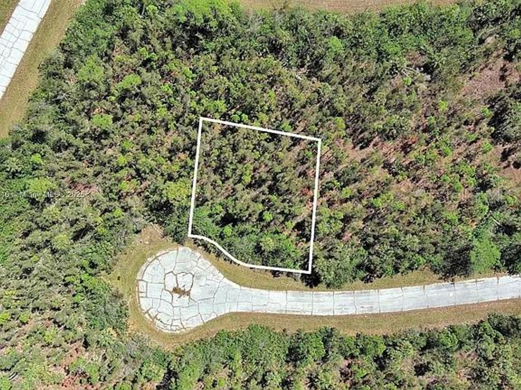 Photo of Placida, FL 33946 (MLS # O6405960)