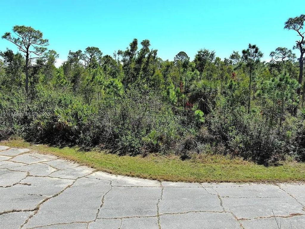 Photo of Placida, FL 33946 (MLS # O6405960)