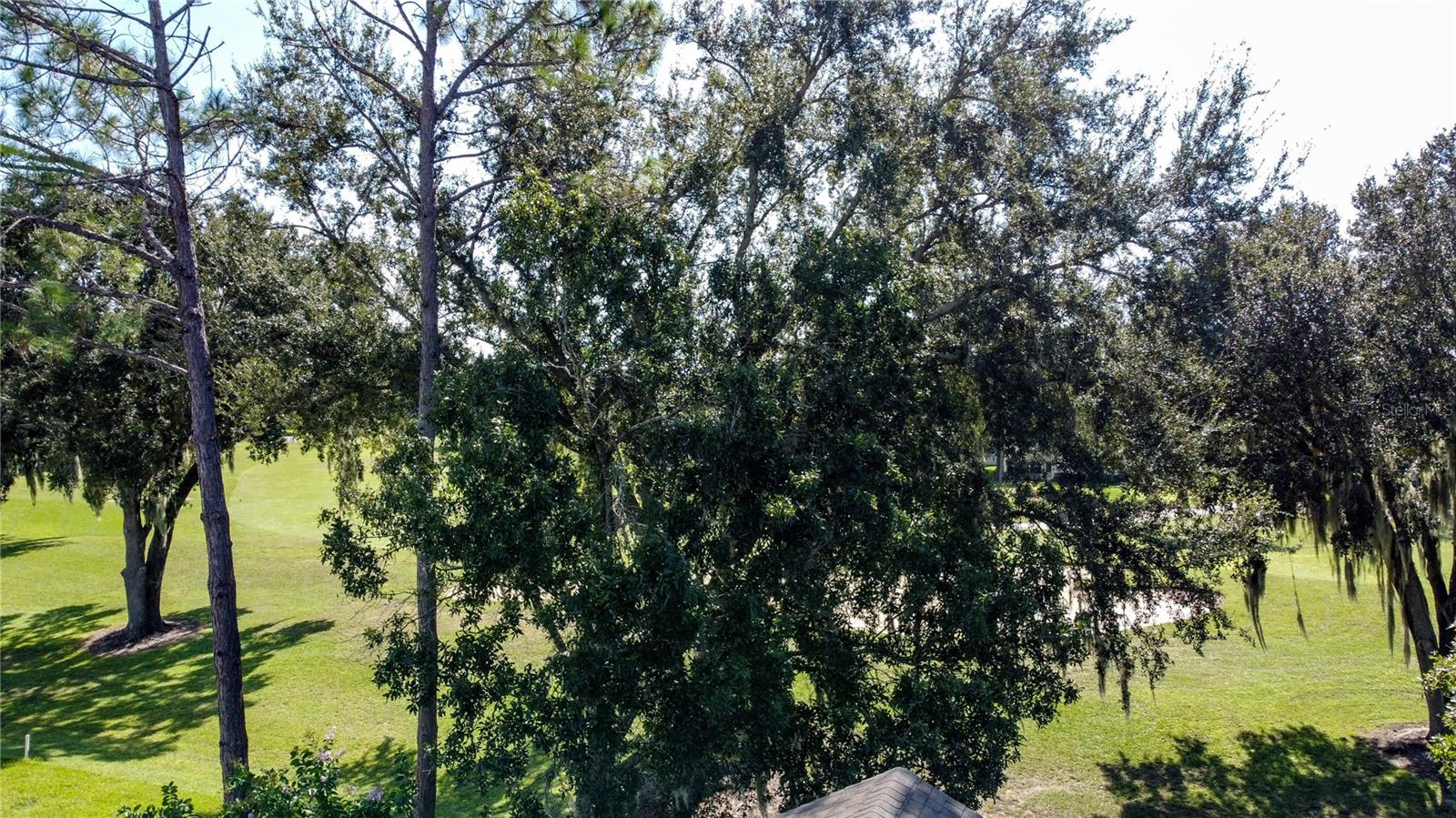 KINGS RIDGE BRIGHTON AT KINGS RIDGE PH 01 - Residential