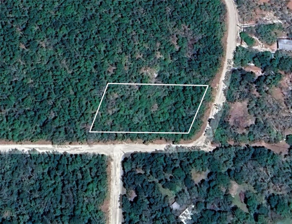 Photo of NE Trestle Dr, Mayo, FL 32066 (MLS # O6384872)