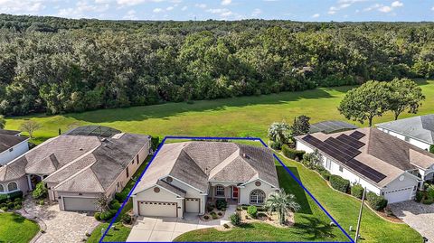 A home in SUMMERFIELD