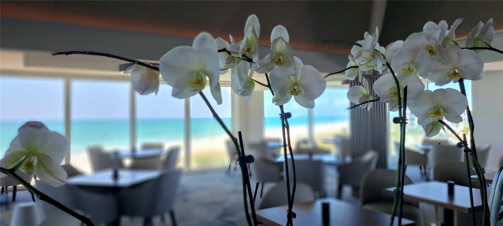 VILLAGE BOCA GRANDE CLUB PHII - Residential