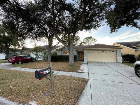 Photo of 1723 Elk Spring Drive, Brandon, FL 33511 (MLS # O6359845)