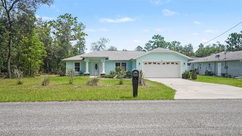 Photo of 941 W Bancroft Drive, Citrus Springs, FL 34434 (MLS # TB8515192)