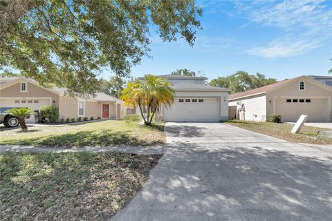 A home in TAMPA