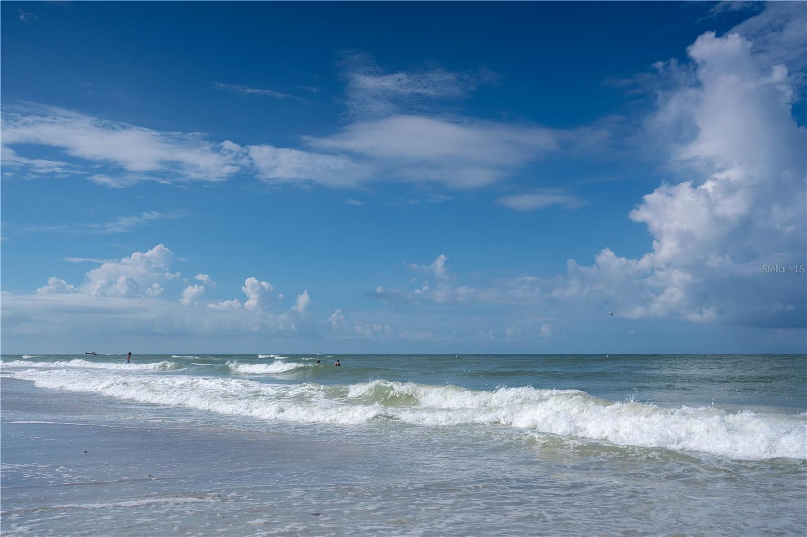 CONEY ISLAND - Residential Income