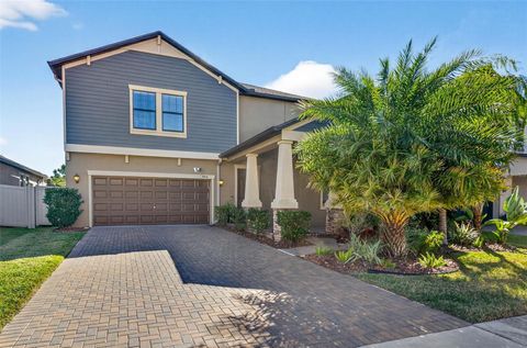 9906 VICTORY GALLOP LOOP RUSKIN FL 33573